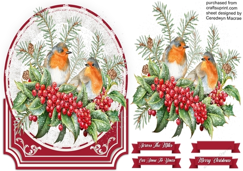 Beautiful Robins on Lace 