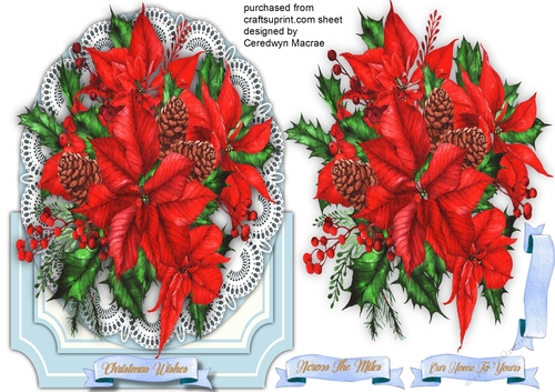 Beautiful Poinsettia On Lace 