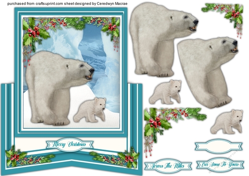 Gorgeous Polar Bears