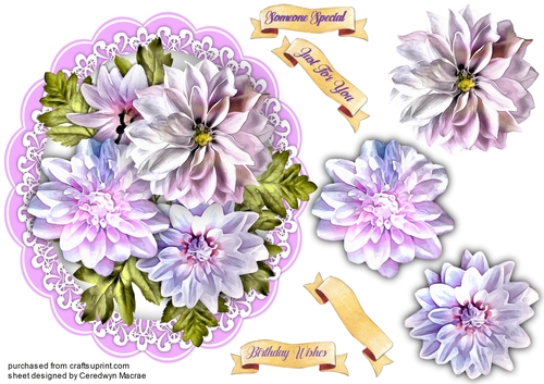 Beautiful Llac Asters on Lace