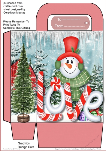 Snowmans Love  Gift Bag