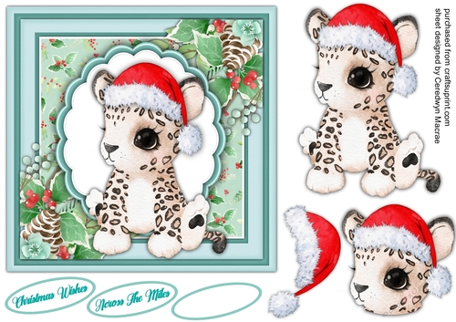 7x Gorgeous Christmas Leopard Baby