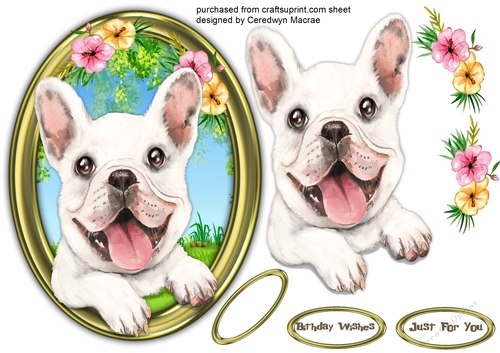 Gorgeous Pup in a Gold Frame 5