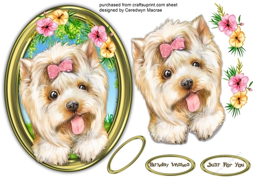 Gorgeous Pup in a Gold Frame 6
