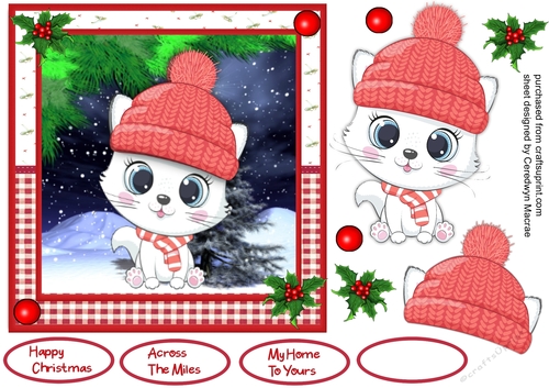 7x7 Gorgeous White Kitty