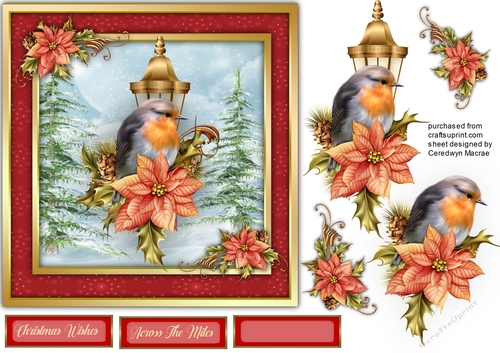 7x7 Beautiful Robin on Holly , By Request