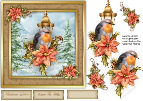 7x7 Beautiful Robin on Holly , 2, By Request
