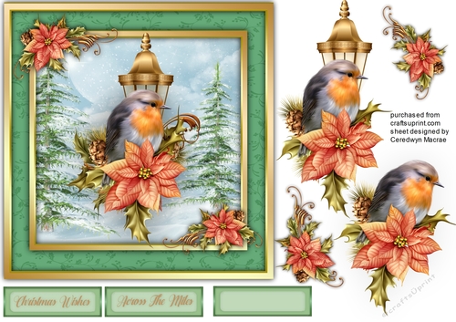 7x7 Beautiful Robin on Holly , 3, By Request