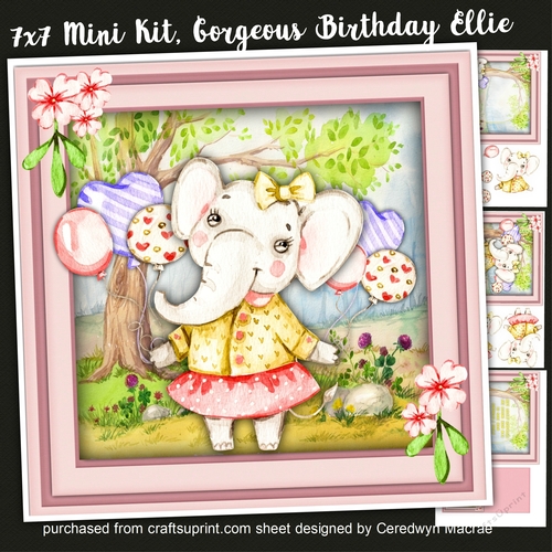 7x7 Mini Kit , Gorgeous Birthday  Ellie