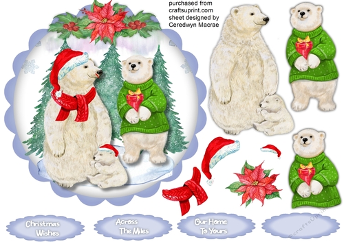 Beautiful Polar Bear Family 