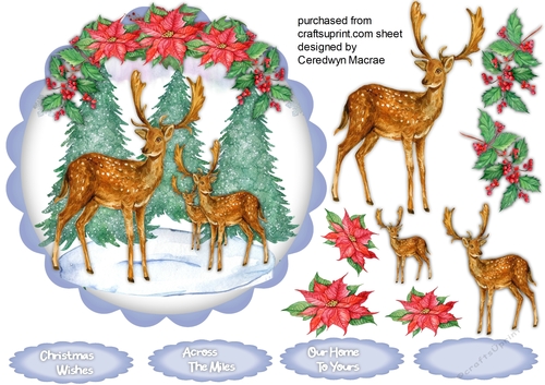 Stags in the Snow