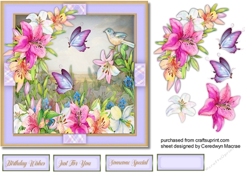 Gorgeous Lillys and Butterflys