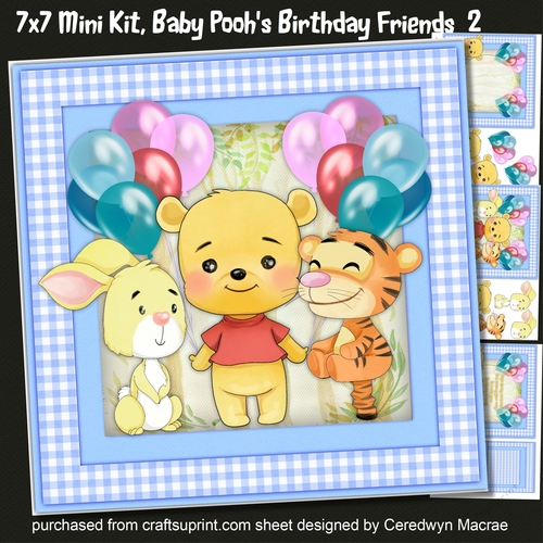 7x7 Mini Kit, Baby Poohs Birthday Friends 2