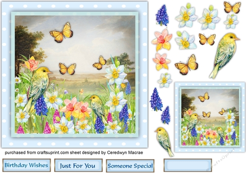 7x7 Spting flowers and Butterflys 