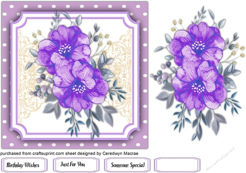 7x7 Beautiful Lilac Flowers