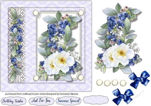Blueberrys and Wild  Roses  7x7 