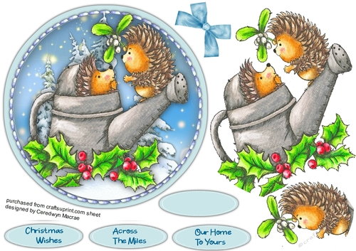 Gorgeous Hedgehog Kisses