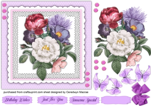 Gorgeous Lilac Sorbet 7x7 