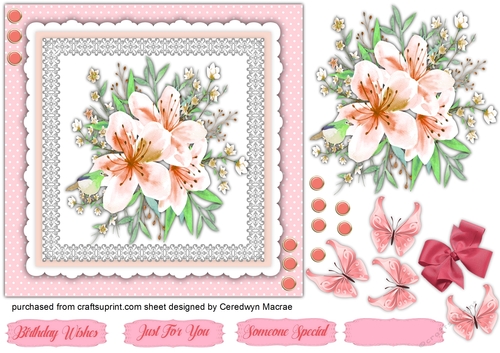 Gorgeous Pink Sorbet 7x7 