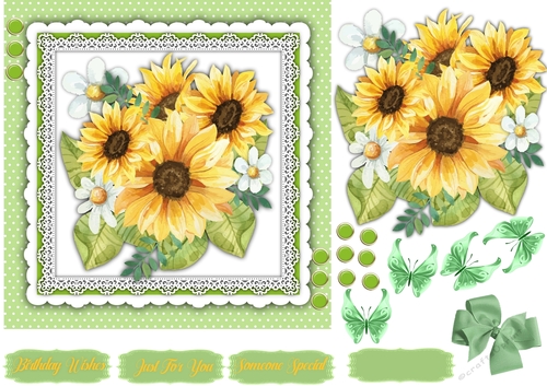 Gorgeous Sunflower Sorbet 7x7 