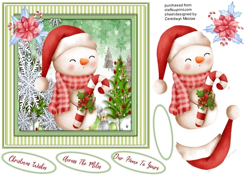 Adorable  Snowman With Scarf