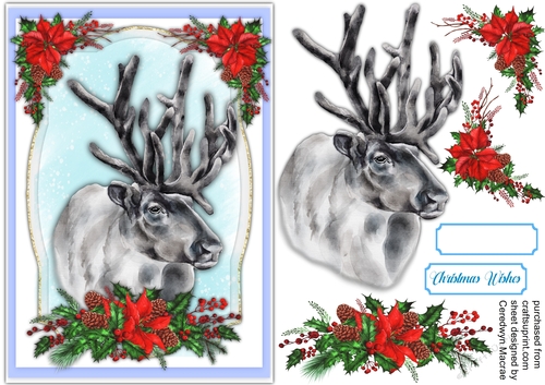 Gorgeous Christmas Stag