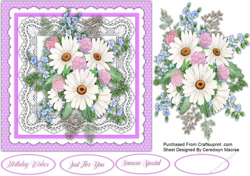 Beautiful Daisys and Clover