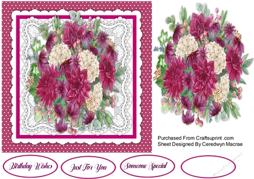 Beautiful Wine Dahlias 