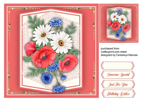 Beautiful Daisys and Poppys