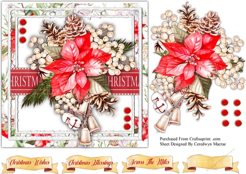 Beautiful Christmas Poinsettia 