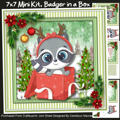 7x7 Mini Kit, Gorgeous Badger in a Box