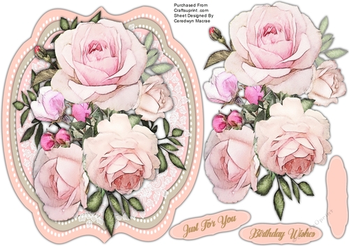 Beautiful Pink Beauties