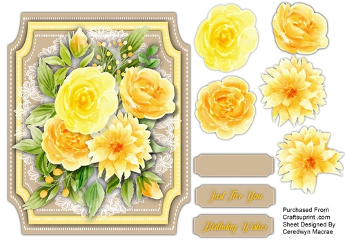 Beautiful Yellow Sunshine