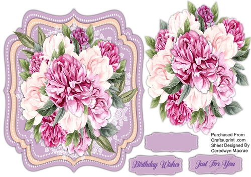 Gorgeous Peony Roses