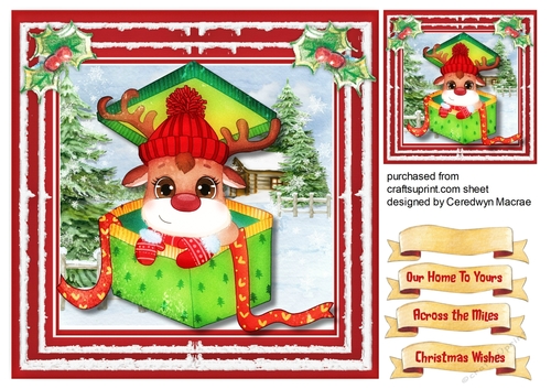 Gorgeous Reindeer in a Box 6