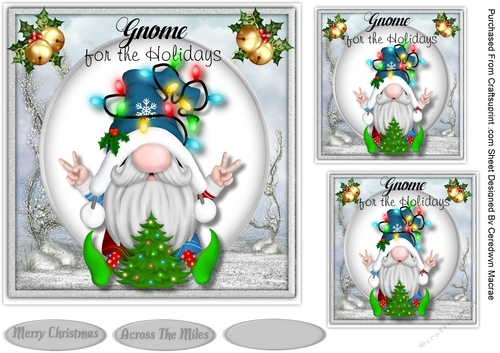 Gnome For The Holidays