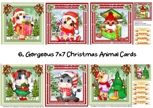 6,Gorgeous 7x7 Animal Cards 