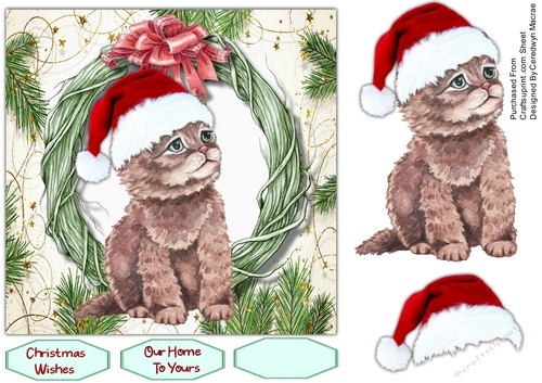 7x7 Kittys Christmas Hat