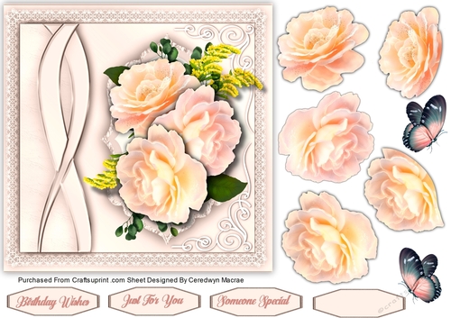 7x7 Lace and Roses  4