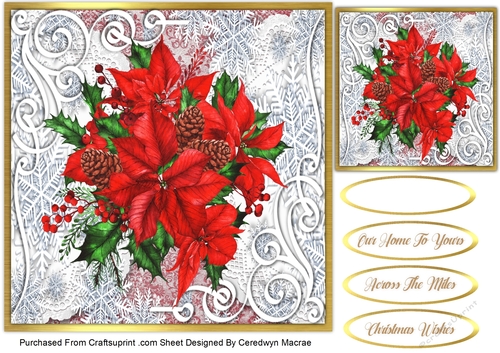 Pine cones and Poinsettias