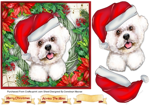 Gorgeous White Santa Dog 1