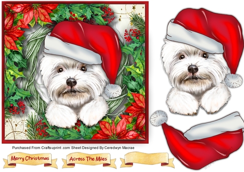 Gorgeous White Santa Dog 2