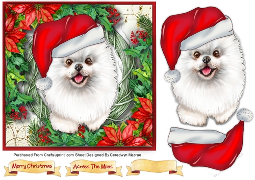 Gorgeous White Santa Dog 3