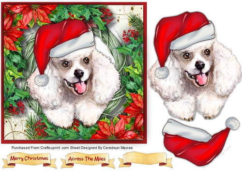 Gorgeous White Santa Dog 4