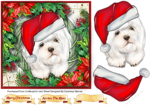 Gorgeous White Santa Dog 5