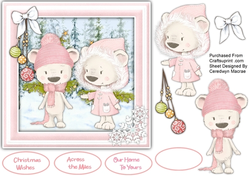 Gorgeous Christmas Teddys