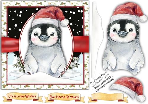 Gorgeous Penguin 