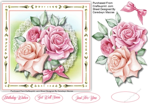 Beautiful  Soft Pink  Roses 