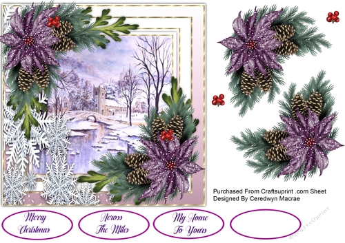 7x7 Snowflakes and Poinsettias  1