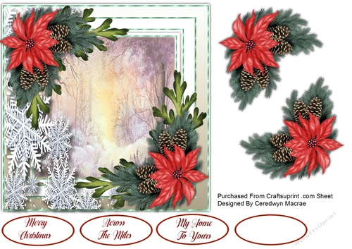 7x7 Snowflakes and Poinsettias  2